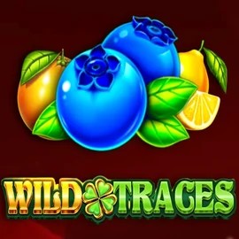 Play Wild Traces slot by Amusnet Interactive on catspinss.ch